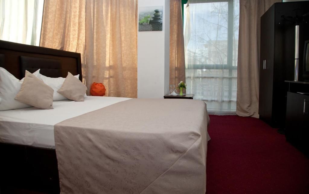 Отель Hotel Metropol Питешти